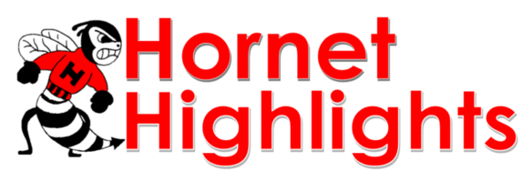 hornet highlights