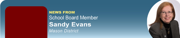Sandy Evans, Chairman and Mason District Member banner