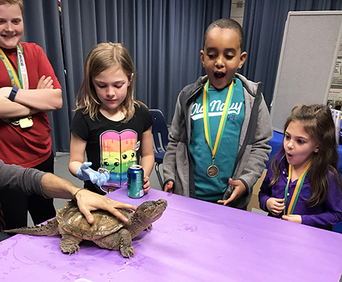 Students looking at turtle