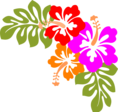 luau