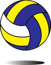 volleyball