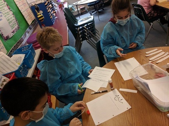 4th grade paragraph surgeons