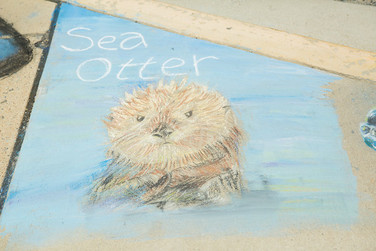 seaotter