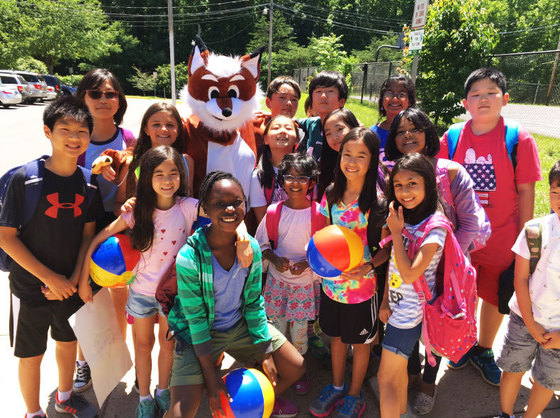 Summer Willow Picture