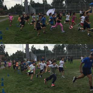 Puma Fun Run in action