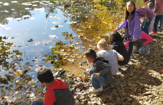 third graders exploring habitats at the park