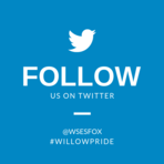 at wsesfox twitter image