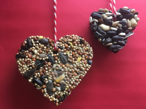 Birdseed Ornaments