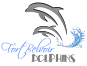 dolphin