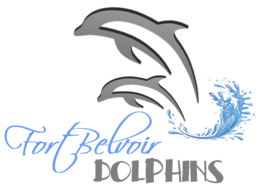 dolphins