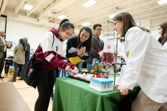 Picture of students practicing phlebotomy on mannequin arm