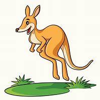 kangaroo