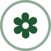 Appreciation of Beauty and Excellence Icon