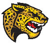 Falls Church Jaguar