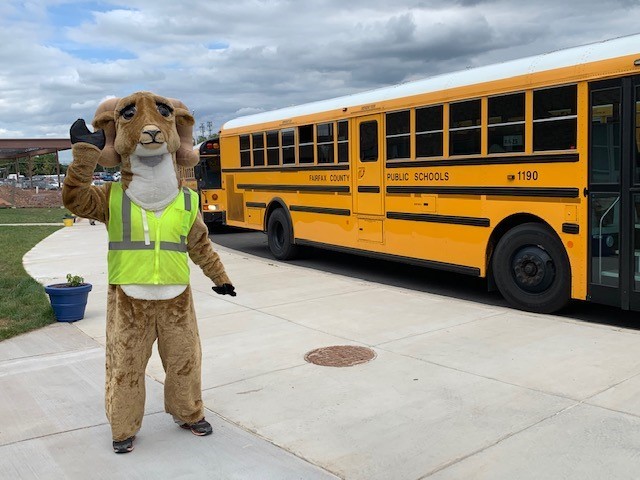 Rocky on the first day