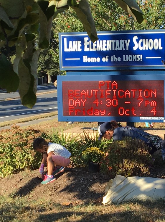 Volunteers at Beautification Day