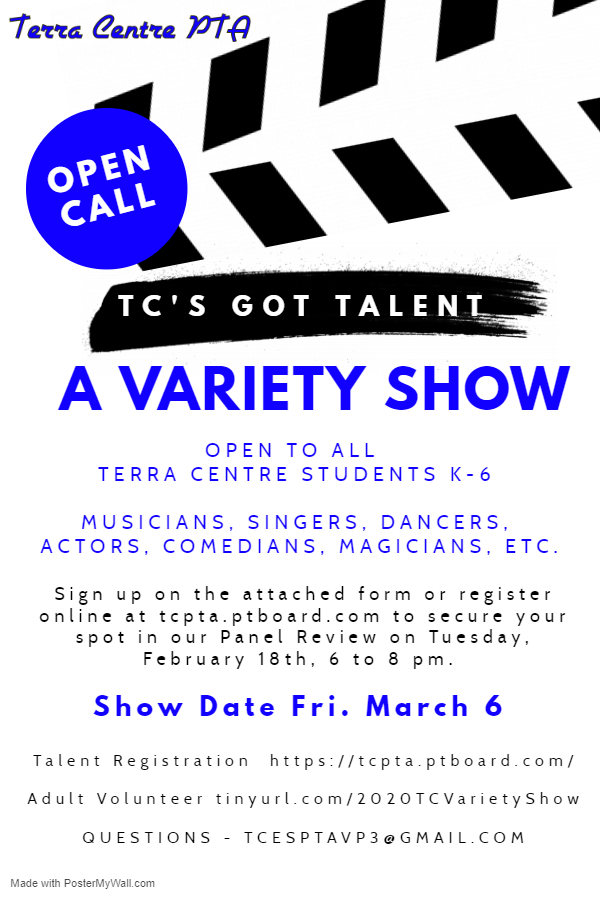 Variety Show Flyer