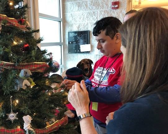 Students decorating the tree at the Animal Welfare League of Alexandria