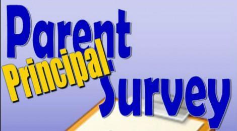 Principal Survey