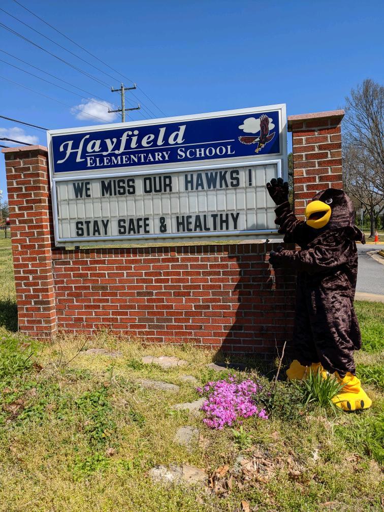 Miss You Hawk