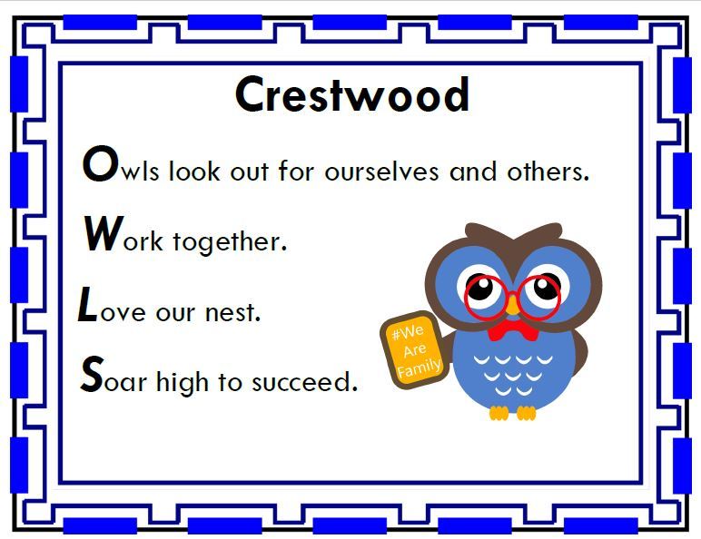 owls