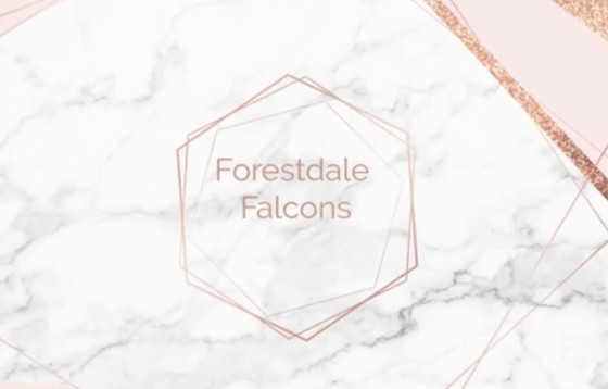 Falcons Video Image