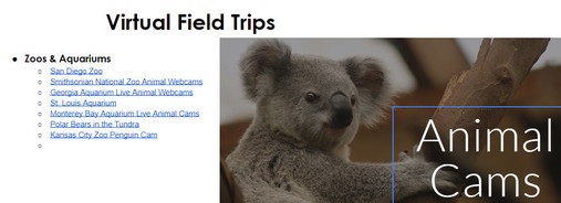 Virtual Field Trips