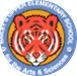 Tiger Icon