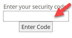 Security code picture