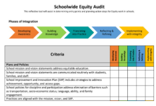 equity audit