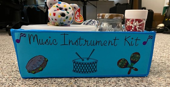 musical instrument kit