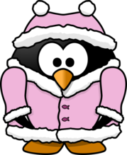 Winter coat