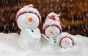 Picture of snow people