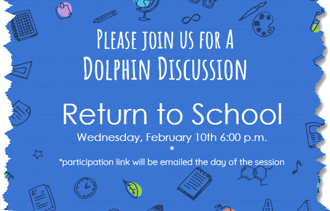 dolphin discussion