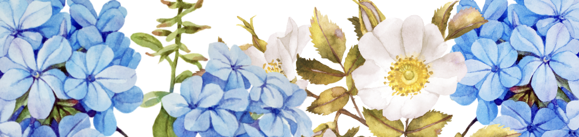 Spring Flowers Spring Flower Sale