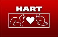 hart