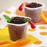 dirt cup