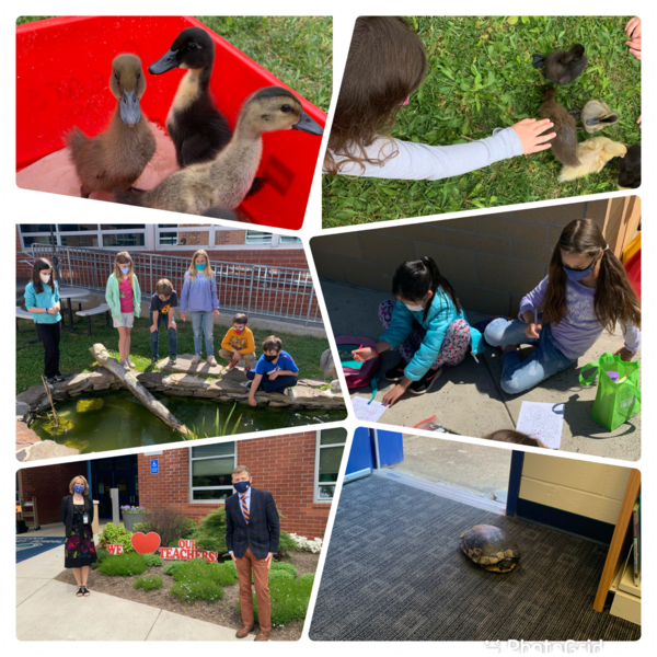 A Great Week at Haycock