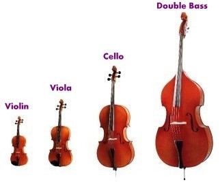 cello