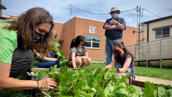 Students working in a school garden. 