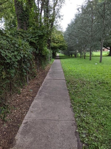 Pathway After