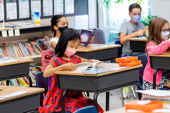 Student reading at a school desk. 