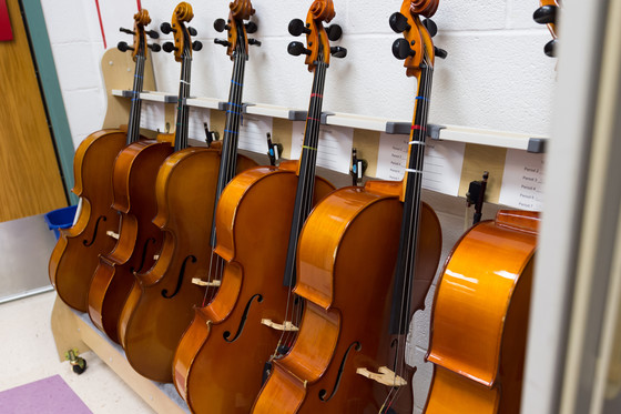 Several cellos