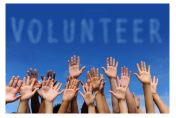 volunteer