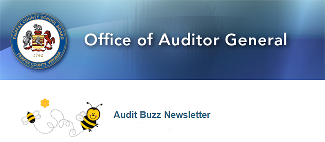 graphic of office of the auditor general