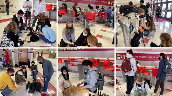 therapy dogs visit Nov