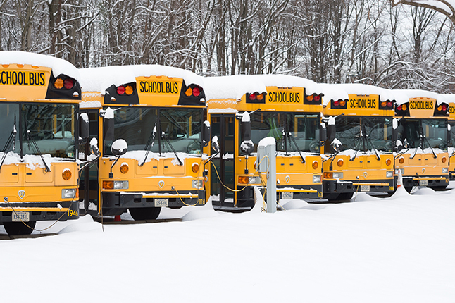 Buses covered with snow