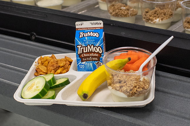 School lunch food on a tray. 