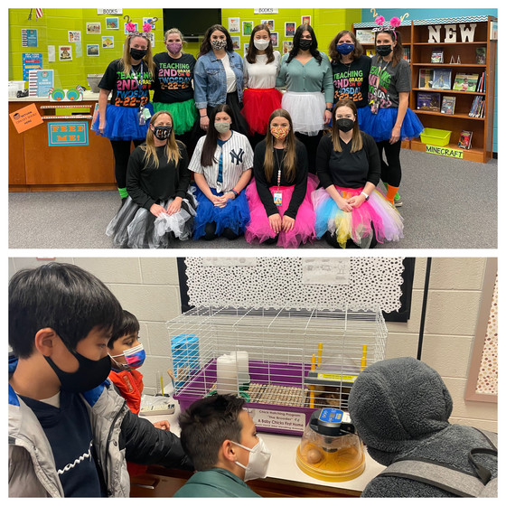 2-22-22 and Baby Chicks