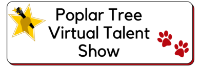 Virtual talent Show